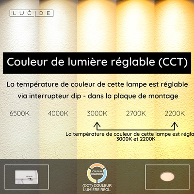 Lucide RINUS - Plafonnier Salle de bains - Ø 40 cm - LED - CCT - 1x24W 2200K/3000K - IP44 - Opalin - Essential